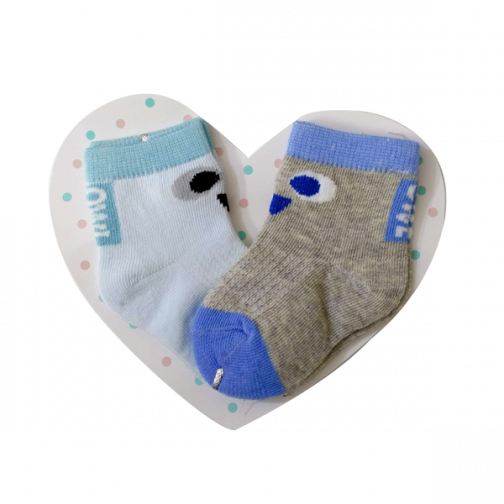 Homesun Baby 2 Pair Socks Set (1-3 years) - Owl (Random Color)